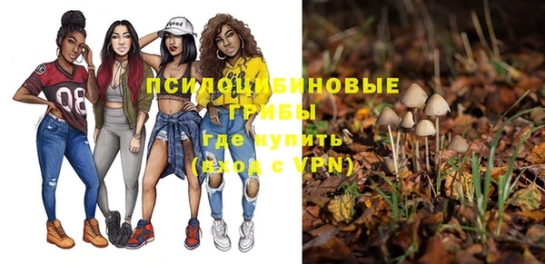 соль ск Алексеевка