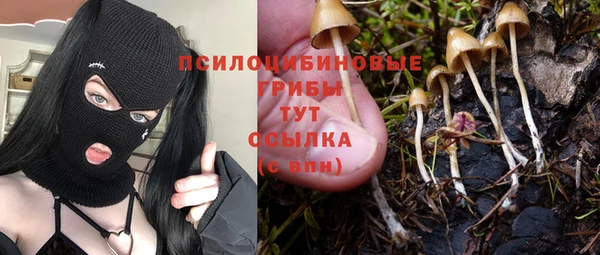 прущая мука Алзамай