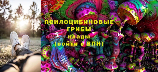 соль ск Алексеевка